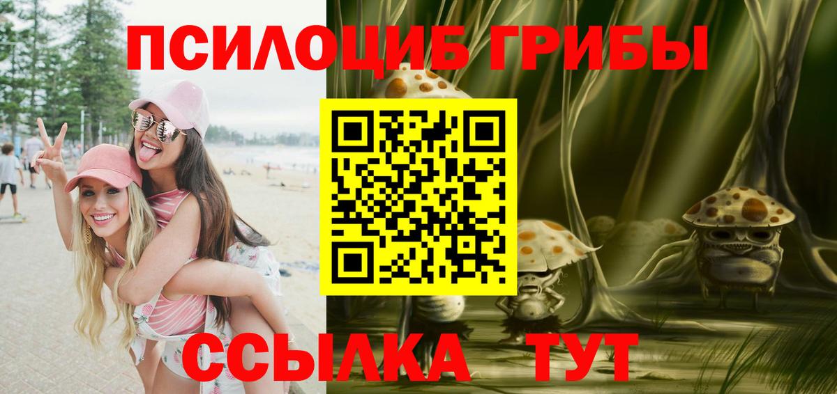 Псилоцибиновые грибы Magic Shrooms Углич