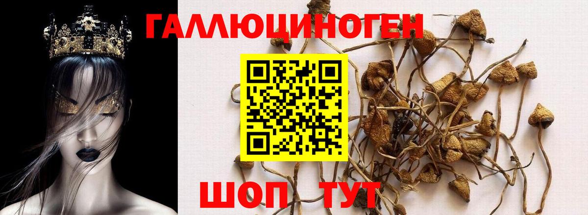 Углич  как найти   Вход с VPN  Галлюциногенные грибы Magic Shrooms  Галлюциногенные грибы мухоморы 